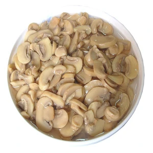 hot sale Chinese canned mushroom pieces in brine