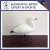 Import Hot Sale High Quality Wholesale Plastic PE snow Goose Decoys from China