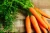 Import Hot sale South Africa fresh Organic carrot with export quality from South Africa