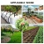 Import Hot Selling Cheap Water-Saving Automatic Drip Irrigation System Kit For Garden Greenhouse from China