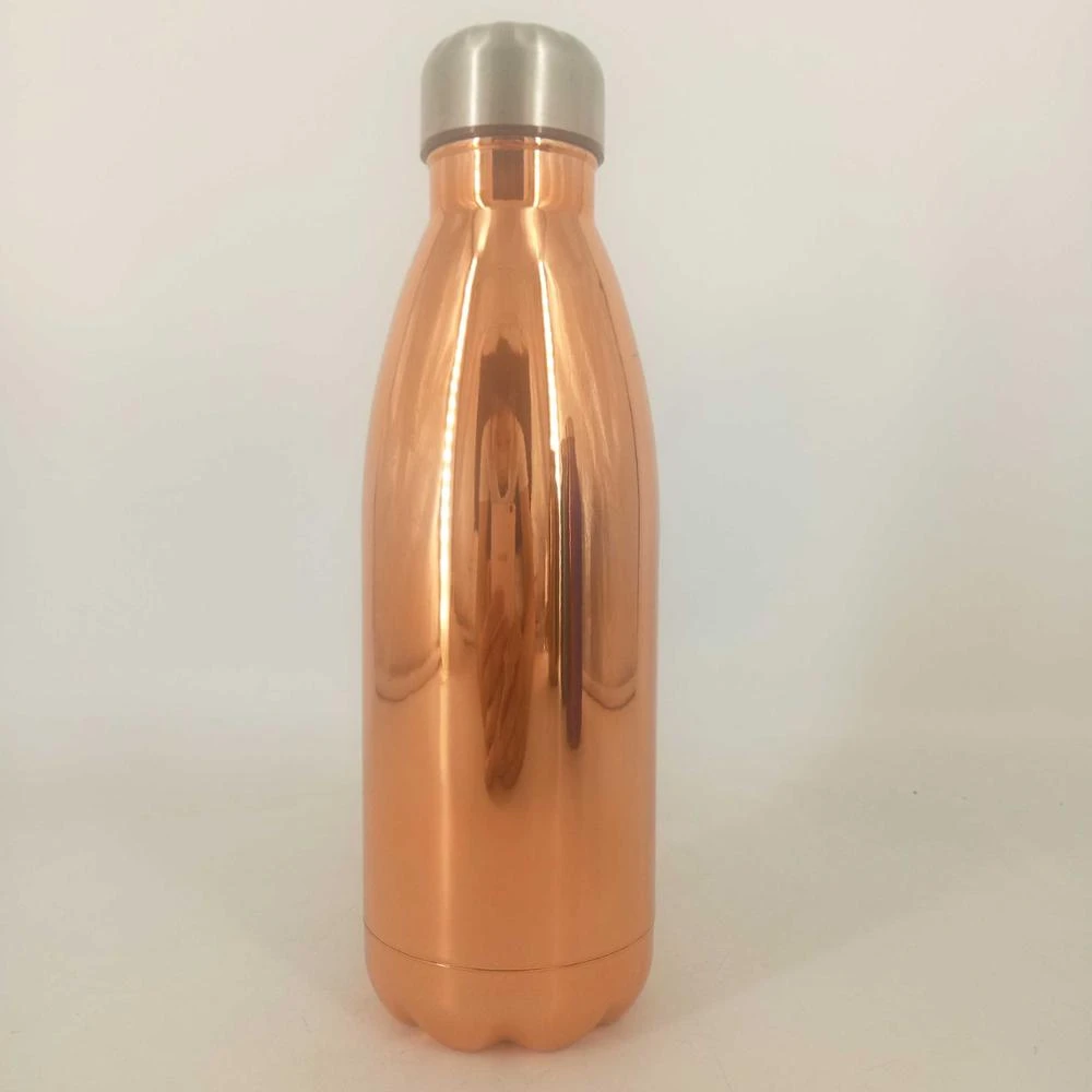 Hot Selling Travel Double Wall Stainless Steel Thermos Vacuum Bottle