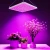 Import Hot Style Green House Hydroponic Seedling Succulents Veg Flower Led Grow Light With Timer Controller from China