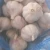 Import Import Chinese garlic seeds for planting and China garlic price 1kg garlic from China