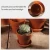 Import Indoor Outdoor Colorful Clay Ceramic Terracotta Planters Flower pots from China