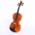 Import Intermediate European Material maple Violin from China