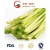 Import IQF Frozen Garlic Sprouts and Frozen Vegetable from China