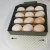 Import Janoel brand JN12 holding 12 chicken egg incubator automatic cheap egg incubator for sale from China