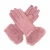 Import Leather touch screen Gloves Women Winter Gloves Fashion Warm gloves burr lin from China
