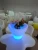 Import LED illuminated ice bucket coolers remote control RGB color changing large capacity plastic bar led ice bucket from China