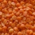 Import Lentils from South Africa
