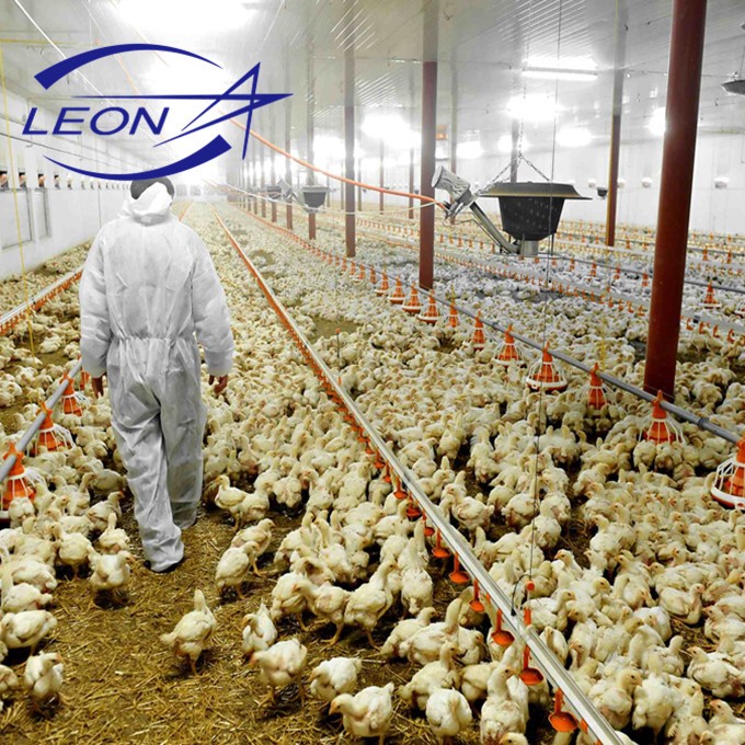 Leon Series one-stop poultry house design  Automatic poultry farm equipment