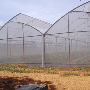 Low Cost Fixed Poly Tunnel Seed Greenhouse For Vegetables