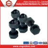 Low price Car Wheel bolt with auto fastener