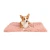 Import Manufacturer produces wholesale warm dog blanket thickening warm pet supplies from China