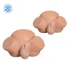 Medical Science Subject Delivery Model,Child Birth Pregnancy Teaching Simulator,Delivery Obstetrical Training Anatomical Manikin