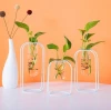Metal Design Tabletop Vase Hydroponic Plant Home Decor Vase for Home Decoration