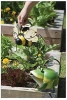 Metal Frog Watering Can  Indoor Watering Can For Plant Watering Can Gardening Gifts Garden Accessories