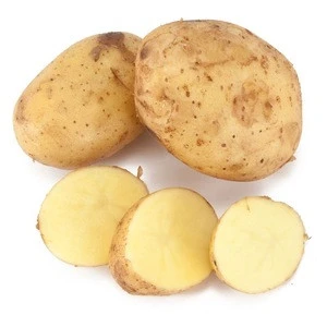 Mexico Grown POTATO WHITE Potatoes Robinson Fresh MOQ 50 LBS Quick Delivery in US