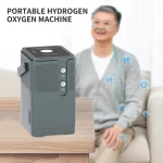 300ml/min hydrogen generator manufacturers directly supply hydrogen rich machine high purity hydrogen production machine