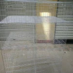 MU TONG New breeding equipment pigeon cage, quail cage small brooding cage