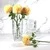 Import New arrival 29cm China wholesale cheap clear glass vase transparent home decor outdoor garden vase for wedding party from China