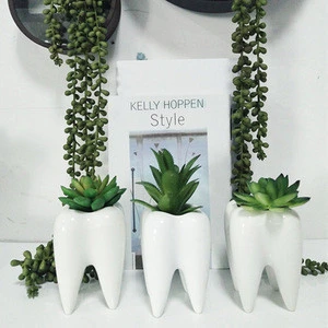 New arrival creative white resin succulent flower pot garden vase for table decoration