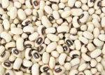 new crop black eye bean/white cowpea bean for sale