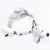 Import NEW Dental Equipment Portable 3.5X Dental Headband Loupes from China