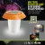 New desgin 0.5w portable solar lighting system camping lantern light