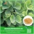 Import New design natto &amp; ginkgo biloba extract capsule with low price from China