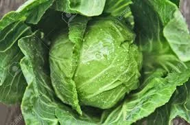 New Fresh Cabbages for sale