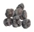 Import New Matured wild frozen truffle all kinds of mushroom from Brazil