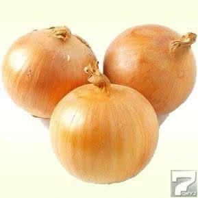 newest top quality  fresh red onion yellow onion on sale