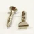 Import Nickel Plated Slotted Flat Head Self Tapping Screws from China