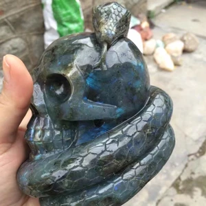 Nutural animal craving craved semi-precious stone labradorite skull with snake crafts