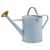 Import OEM Custom Quality metal watering pot watering can for garden from China