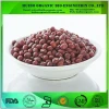 Organic adzuki bean / Red Bean wholesale best price