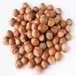 Organic &amp; Natural Hazelnuts / Blanched and unblanched hazelnuts /hazelnuts for sale
