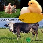 organic corn gluten meal feed
