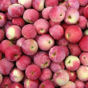 Organic Delicious Fresh Apple Fruit