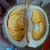 Import Organic Fresh Durian Fruits/Fresh Durians Fruit/Organic Durian from Thailand