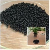 organic granular fertilizer seaweed extract amino humic
