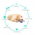Import Other Pet Products New Products Amazon Explosive Model Pet Puppy dog chew toys Sounding Dog Toy Squeaking Leaking Ball from China