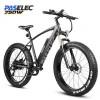PASELEC 26&quot; 750W adult e cycle electric bicycle lithium battery electric bike mountain ebike with LCD Display