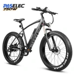 PASELEC 26" 750W adult e cycle electric bicycle lithium battery electric bike mountain ebike with LCD Display