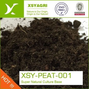 Peat Moss Sphagnum Substrate Garden Plant For Soil Conditioner Plant Organic Fertilizer