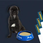 PET-D Probiotics for Dogs