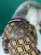 Import Pet supplies dog dog backpack accessories dog bag Teddy Schnauzer Jarre Aero bull Shiba Inu cat fashion messenger bag from China