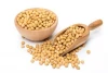 Pharmaceutical Grade Manufacturer Non-GMO soybean extract  CAS: 51446-62-9   50% phosphatidylserine PS powder