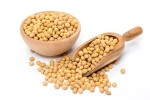 Pharmaceutical Grade Manufacturer Non-GMO soybean extract  CAS: 51446-62-9   50% phosphatidylserine PS powder